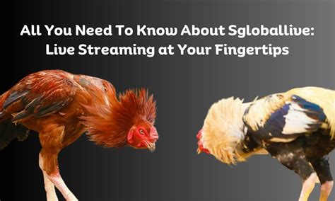 sgloballive com|SGLOBAL.